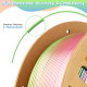 Eryone Rainbow Silk PLA Metal / Metaal Regenboog Filament