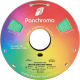 Polymaker Panchroma™ PLA Matte Seafoam Green / Zeeschuim Groen Polymaker Panchroma™ PLA Matte Seafoam Green / Zeeschuim Groen